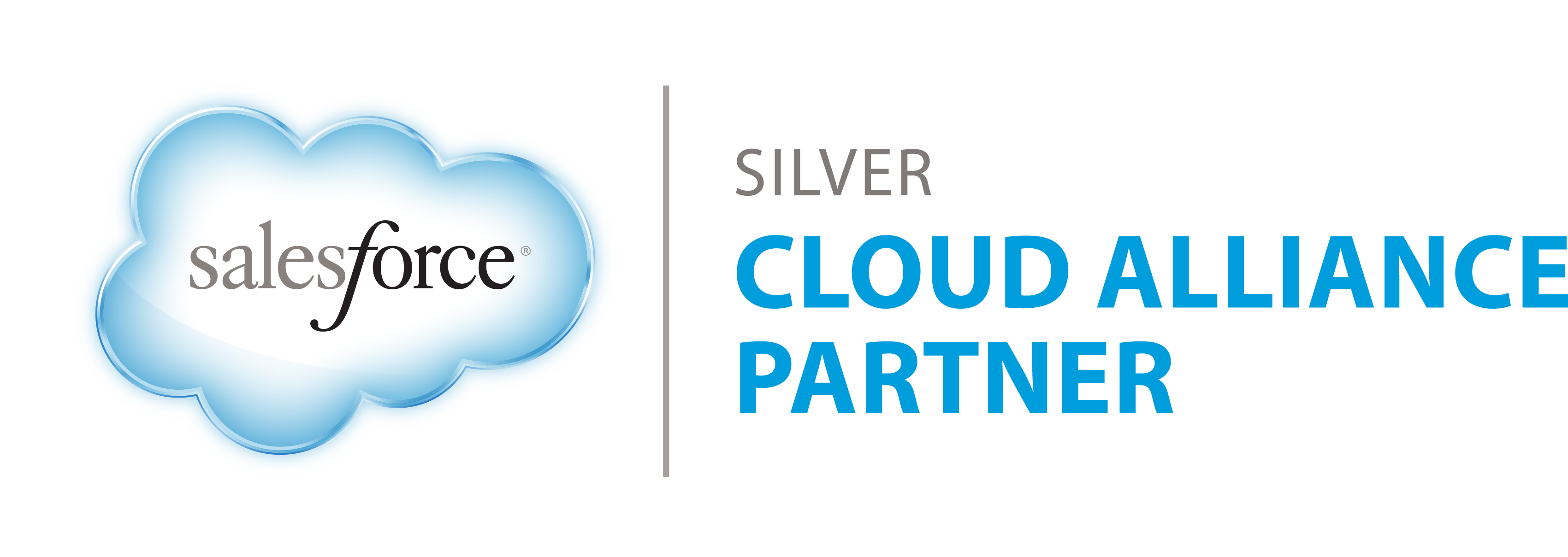 Salesforce Silver Cloud Alliance Partner