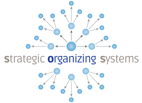Strategic Organizing Systems